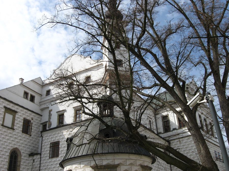 IMG_2557.JPG