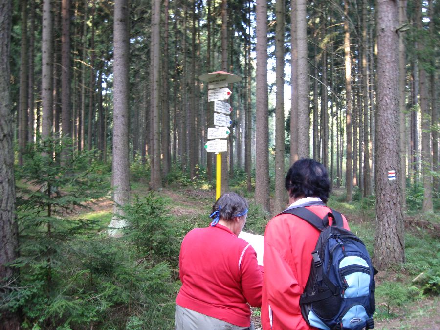 IMG_4306.JPG